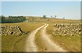 Farm Track near Hebden