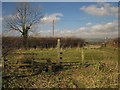 End of footpath near Cutwellwalls