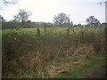 Bend in Footpath