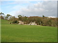 Branken Wall Farm, Muncaster