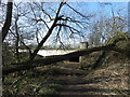 Riverside path going under A34