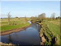 Owenreagh River, Shannaragh