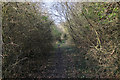 Footpath looking towards Melton Leys