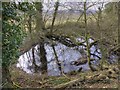 Pond by the footpath