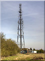 Telecommunications tower near Hawkswood Farm