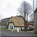 Cherry Hinton: rethatched cottage