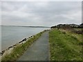 SU7901 : Footpath 224 at Cobnor Point by Dave Spicer