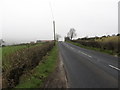 View south along the B25 (Rostrevor Road)