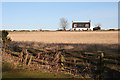 Linganbo Cottages