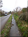 Winterborne Houghton, River Winterborne