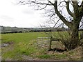 H5561 : An open field, Brackagh by Kenneth  Allen