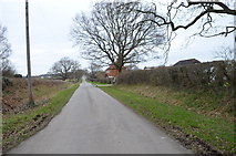 TQ5311 : Sheepcote Lane by Julian P Guffogg