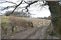 Field entrance near Tanyard Farm