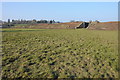 SO8933 : Railway embankment at Tewkesbury by Philip Halling