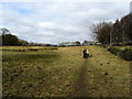 Footpath on Carlton Moor