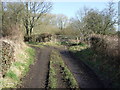 Farm track heading North