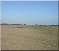 SJ6991 : Farmland near Hollins Green by JThomas
