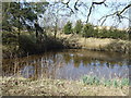 Pond near Moss Side Farm No. 2