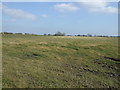 Farmland, Laneside