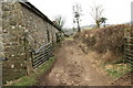 Bridleway to Chagford Common