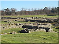 Corstopitum - view of site from southwest corner (3)