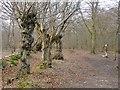 Ermine Street north of Cock Lane