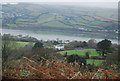 View to the River Teign