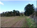 Footpath near Rudge Heath Farm