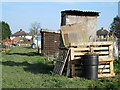 Allotment sheds and spring sunshine