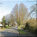 Hills Avenue