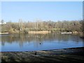 Lake in Southwater Country Park