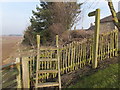 Footpath, Shellacres