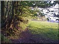 Edge of field near Waddon Brakes