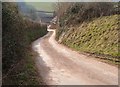 Lane to Higher Dunscombe