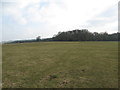 Across grazing land and entry to Whitford Wood