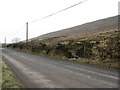 Moorland extending down to the B25 (Kilbroney Road)