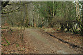 Path near Newtown, Inveraray