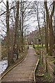 Boardwalk in Spennells Valley Nature Reserve near Heronswood Road entrance, Spennells, Kidderminster