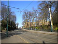 Western side of the Arboretum, Nottingham