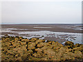 Mudflats near Tayport