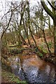 Hoo Brook in Spennells Valley Nature Reserve, Spennells, Kidderminster