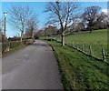 Tree-lined access road to Standish Hospital