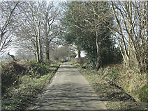 SU4261 : Fullers Lane north of Garvards Copse by Stuart Logan