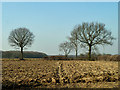 Ploughed field by Blackley Lane