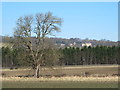 The Tyne Valley north of Corstopitum