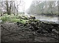 Owenkillew River, near Gortin