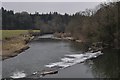 Torridge : The River Torridge