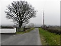 Letterbrat Road, North and South Lislea