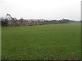 A green field, North and South Lislea