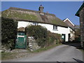 Thatched cottage, Molland